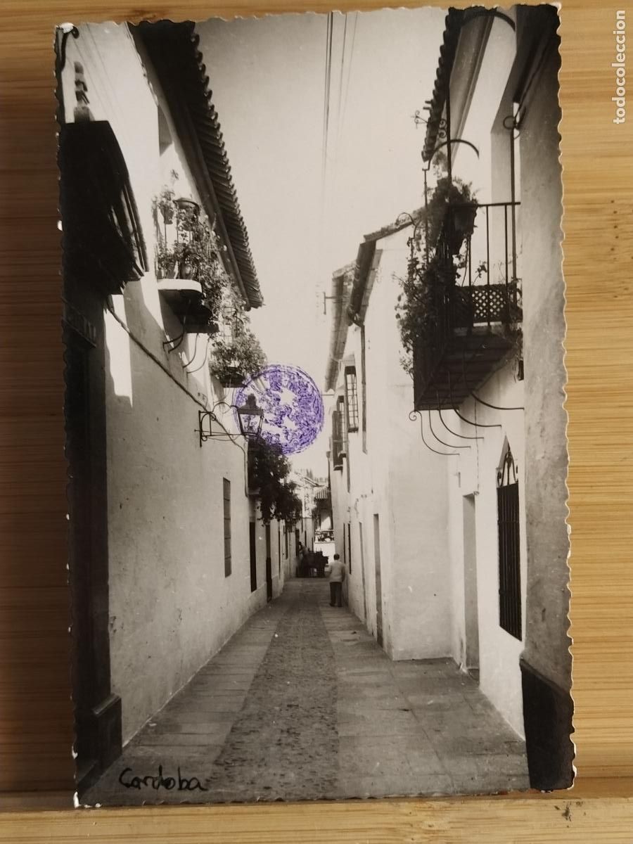 Cartoline: CORDOBA - FOTOGRAFIA - POSTAL ANTIGUA -(109.645)