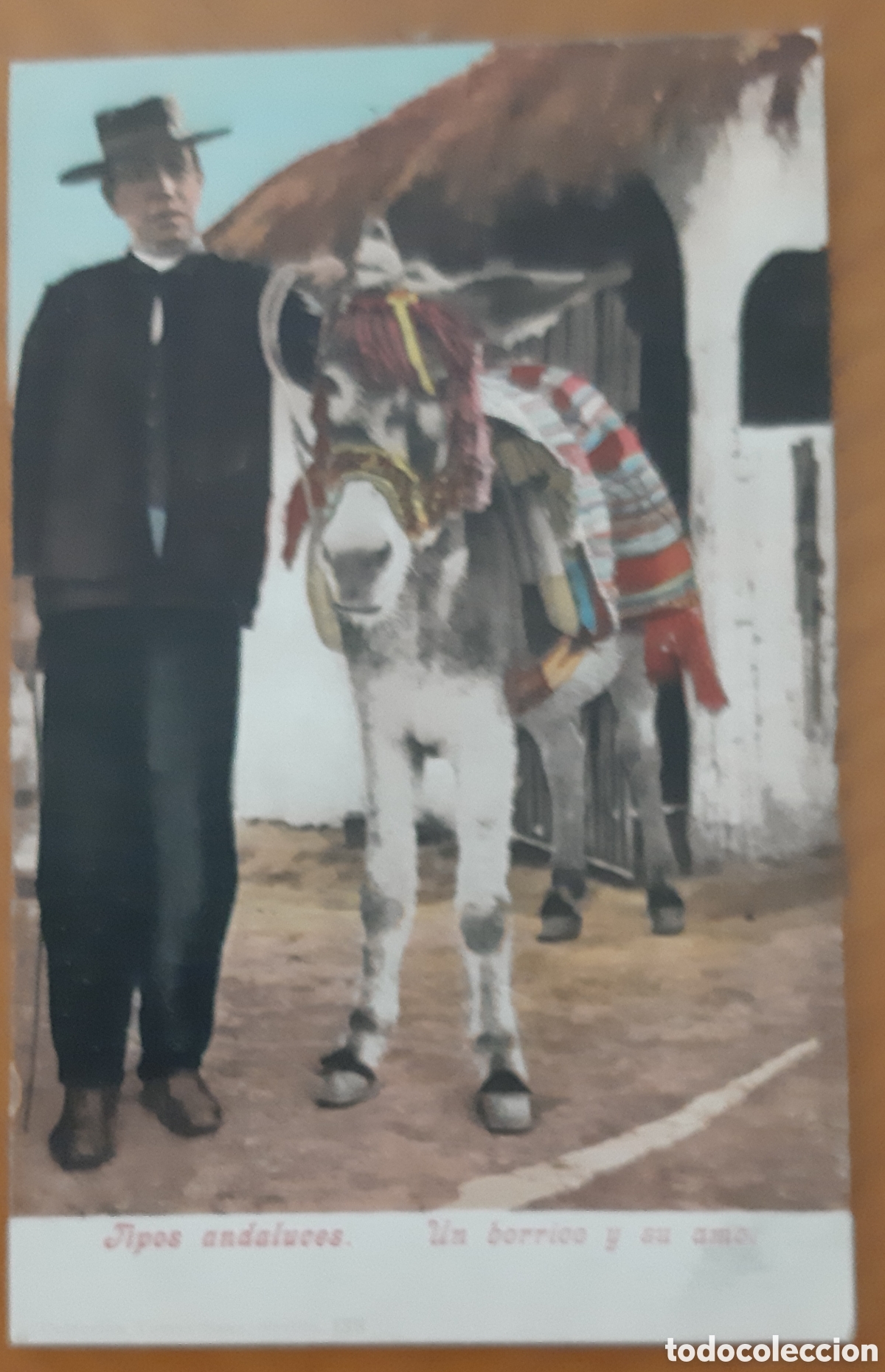 Cartoline: Postal Andaluc&iacute;a coloreada. Tipos andaluces. Un borrico y su amo. Sin escribir. R6969