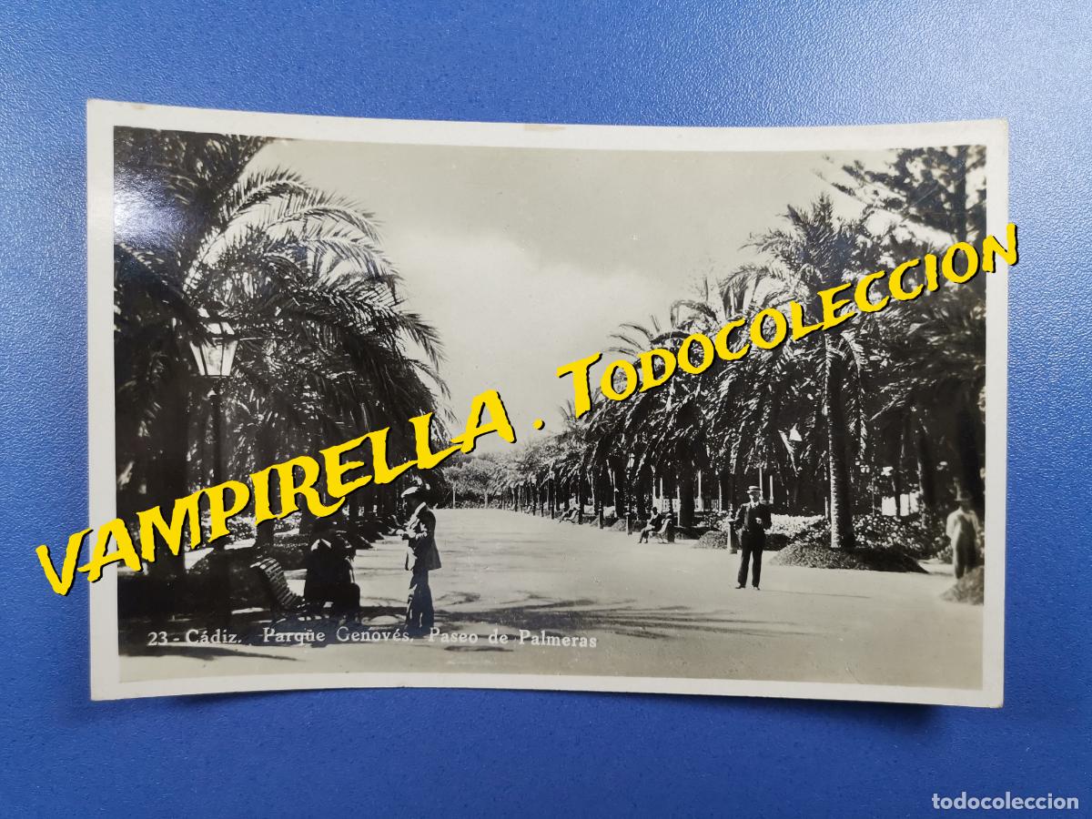 Postcards: CADIZ -PARQUE GENOVES-PASEO DE PALMERAS- SIN EDICION-SIN CIRCULAR
