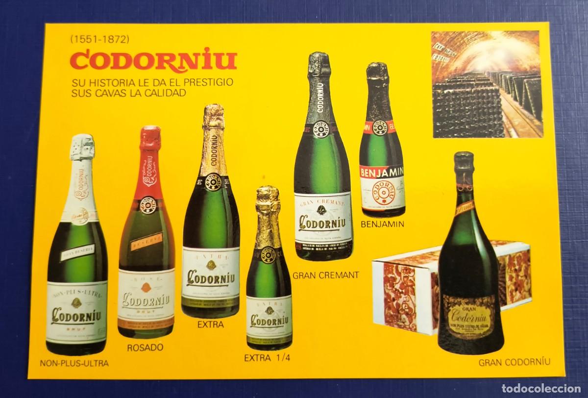 Postales: POSTAL DE CAVAS DE CODORNIU - SIN CIRCULAR - Foto 1