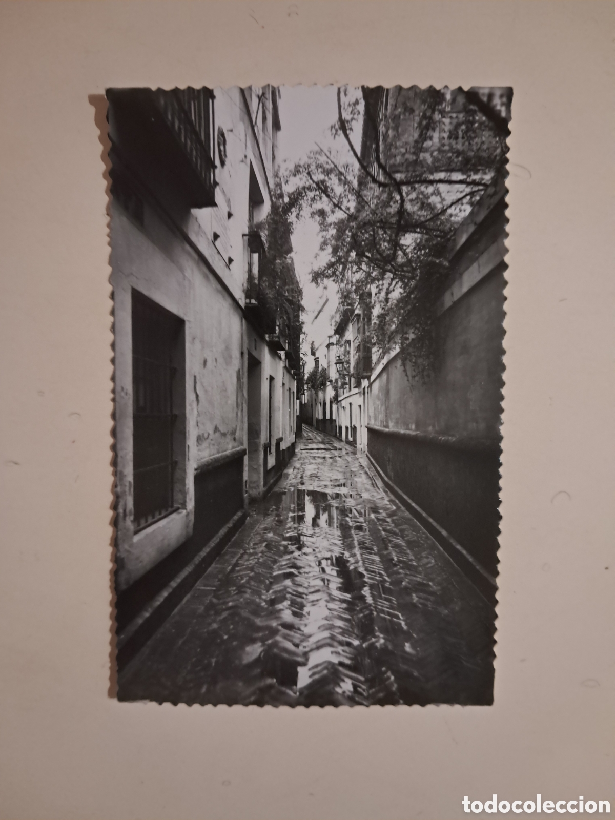 Postales: 7 postales de Sevilla - Foto 6