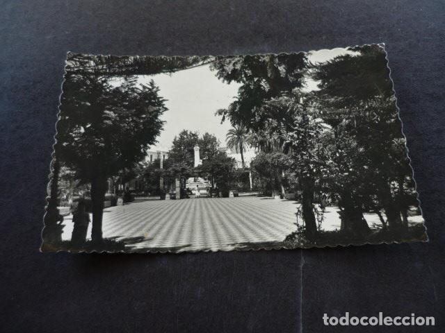 Postais: CADIZ ALAMEDA DEL MARQUES DE COMILLAS JARDINES