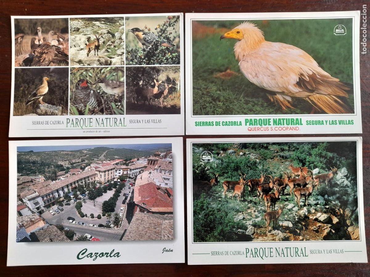 Cartes Postales: Una postal imagen fauna salvaje Sierras de Cazorla Parque natural Segura Jaen 4 tarjetas a elegir