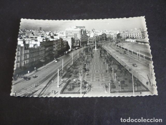 Postkarten: CADIZ AVENIDA DE RAMON DE CARRANZA