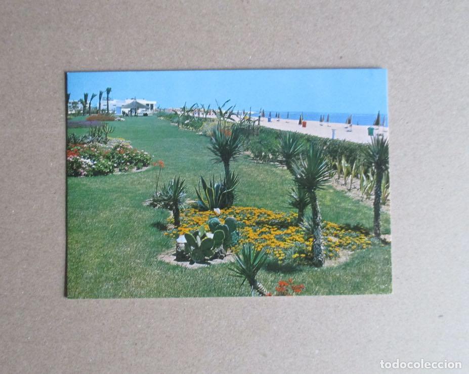 Postales: POSTAL DE AYAMONTE - ISLA CANELA - Foto 1