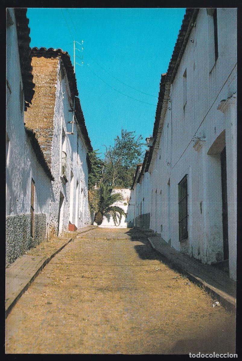 Postales: Jabugo. *Calle Maestro Bando* Excl. Gr&aacute;ficas El Castillo n&ordm; 3. Nueva.