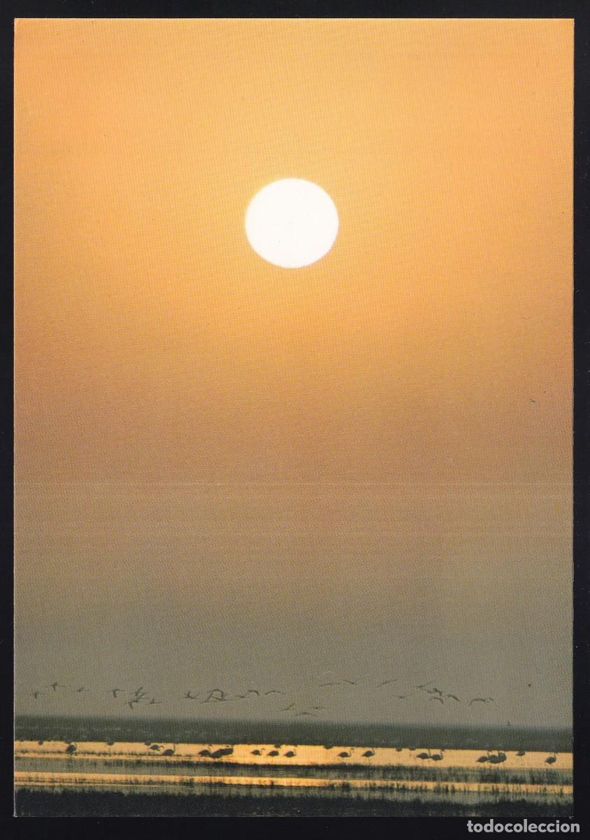 Postales: Parque Nacional de Do&ntilde;ana. *Puesta de sol en la Marisma* Excl. El Lince n&ordm; 7. Nueva.