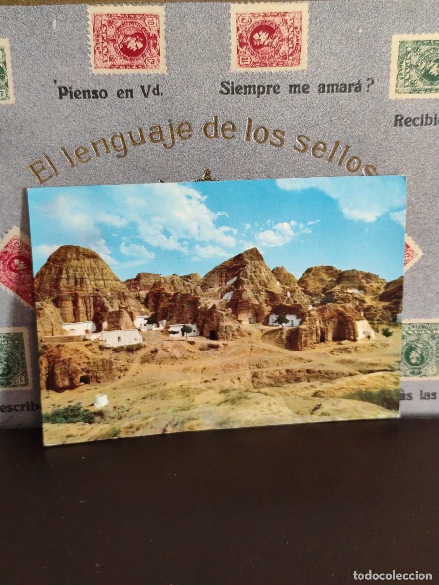 Postales: P3652 Postal Granada Guadix Cuevas . Zerkowitz - Foto 1