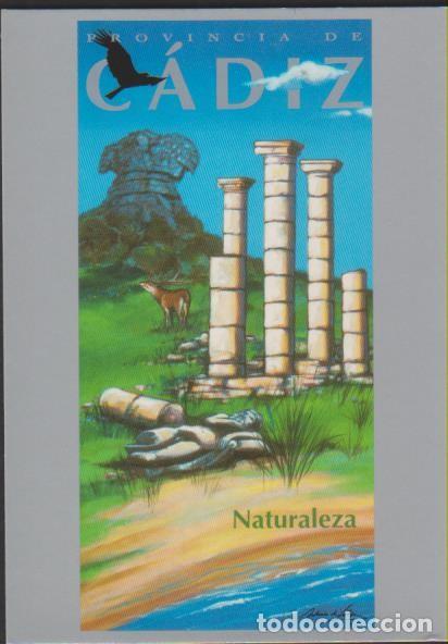 Postales: postal SIN CIRCULAR PROVINCIA DE CADIZ NATURALEZA UN TURISMO CON ARTE POST CARD