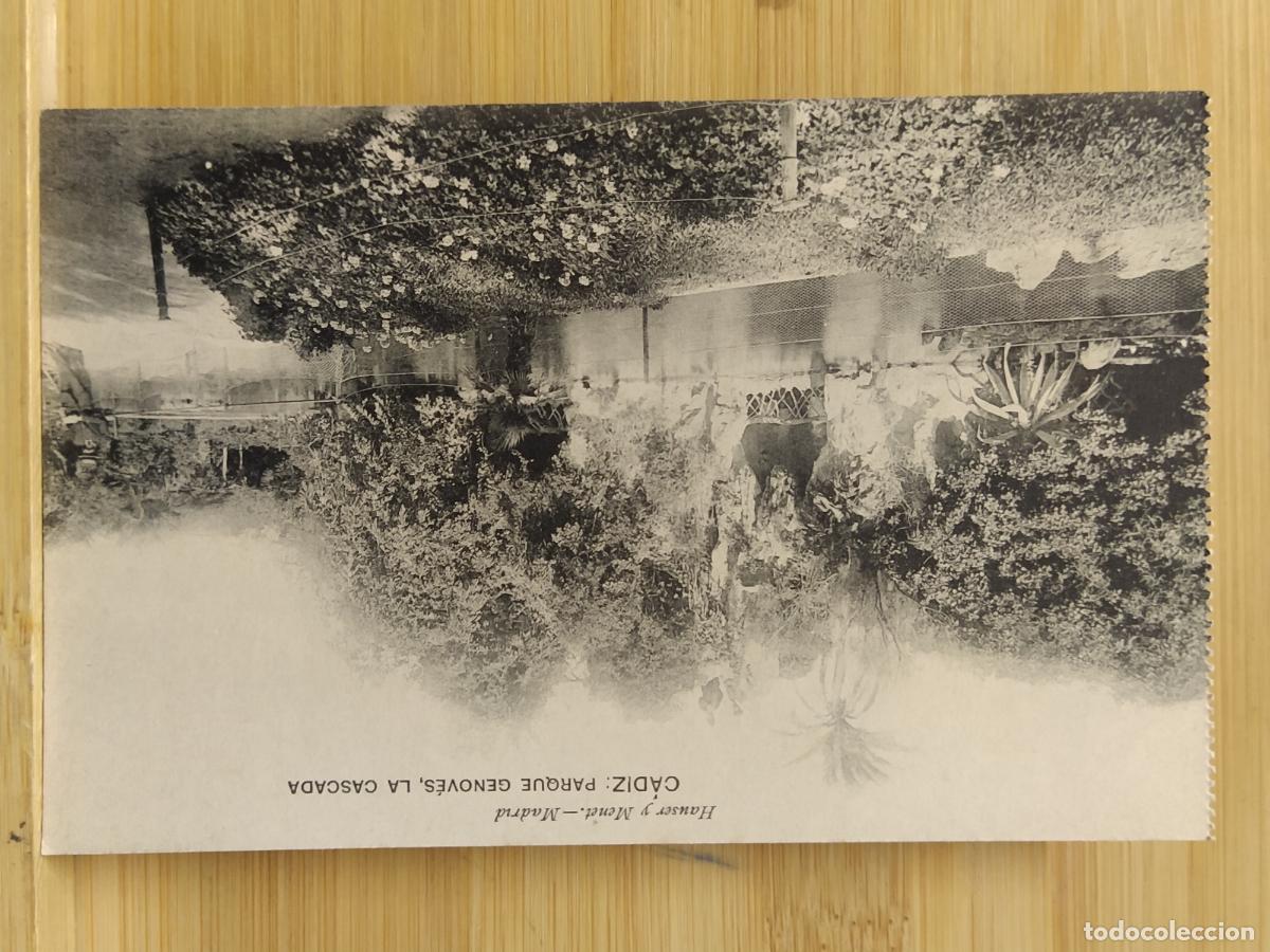 Postais: CADIZ - PARQUE GENOVES LA CASCADA - HAUSER Y MENET - POSTAL ANTIGUA -(110.288)