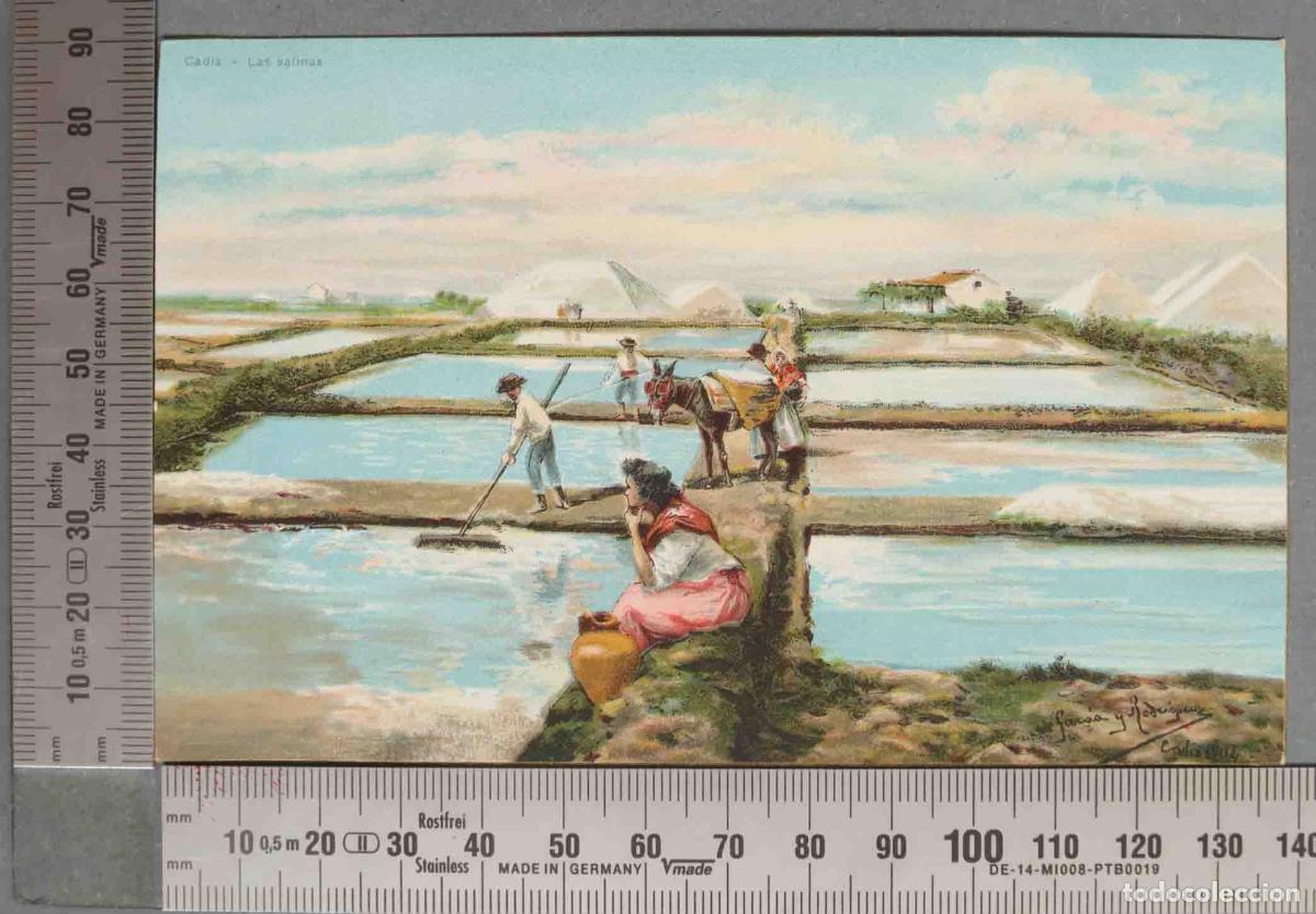 Postales: POSTAL. CADIZ. LAS SALINAS - Foto 1