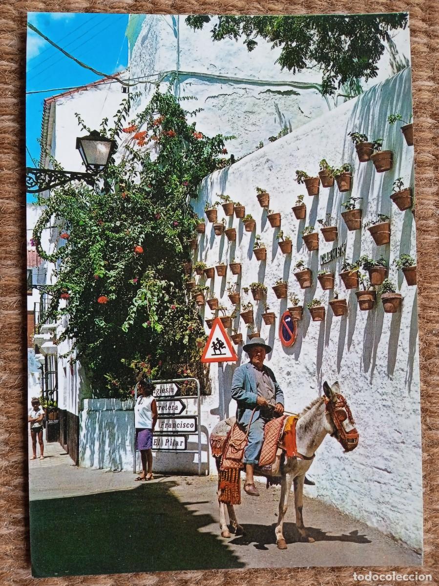 Postales: MARBELLA - MALAGA - POSTALES COSTA DEL SOL - Foto 1