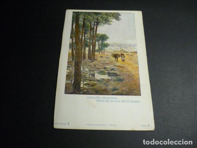 Postais: POSTAL COLECCION BLANCO Y NEGRO PAISAJES ANDALUCES REVERSO SIN DIVIDIR PINAR DE ALCALA DE GUADAIRA
