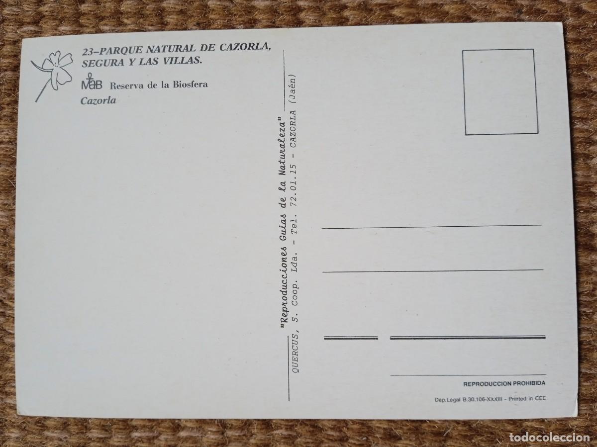 Postales: CAZORLA - JAEN - ED. QUERCUS - Foto 2