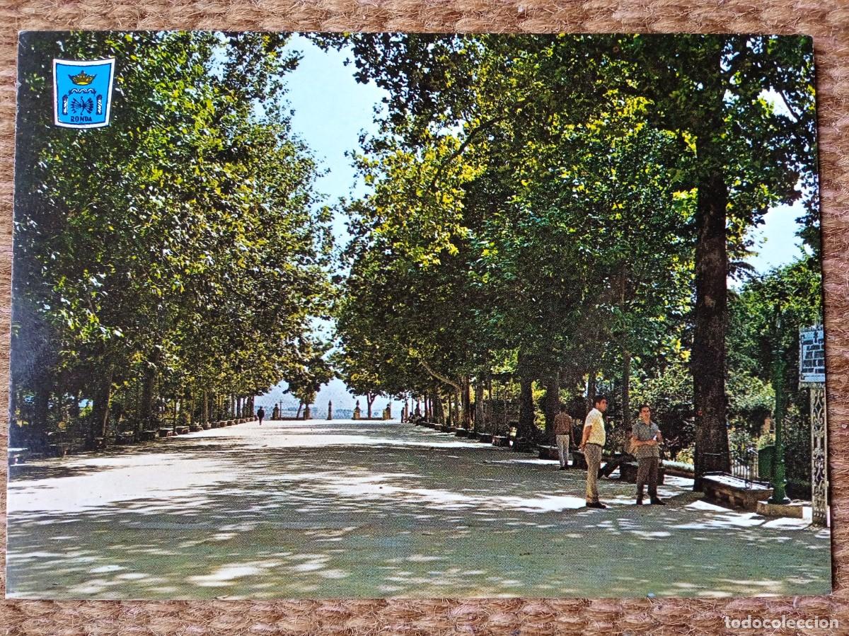 Postcards: RONDA - MALAGA - ALAMEDA JOSE ANTONIO - ED. PERGAMINO