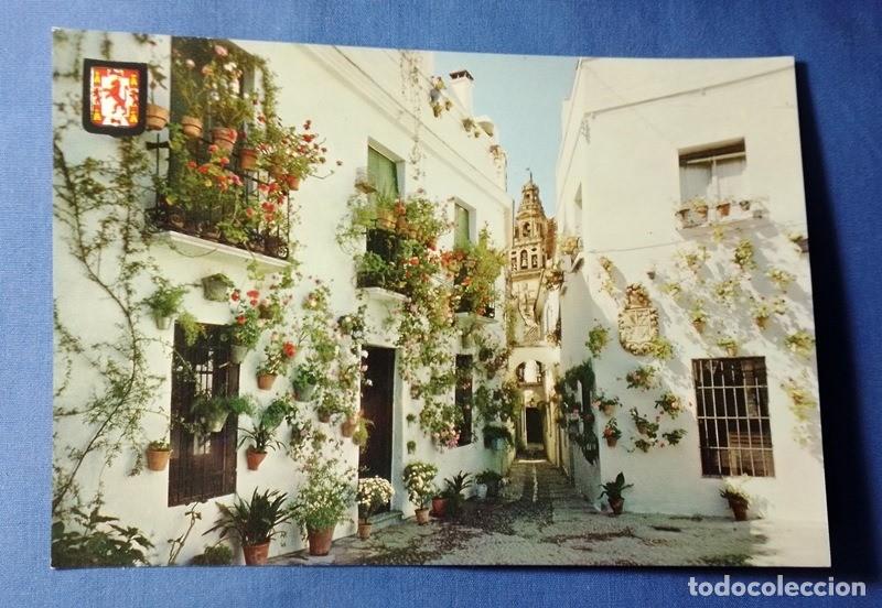 Cartes Postales: postal Cordoba Calleja y Plaza de las Flores n&ordm; 717 S/C