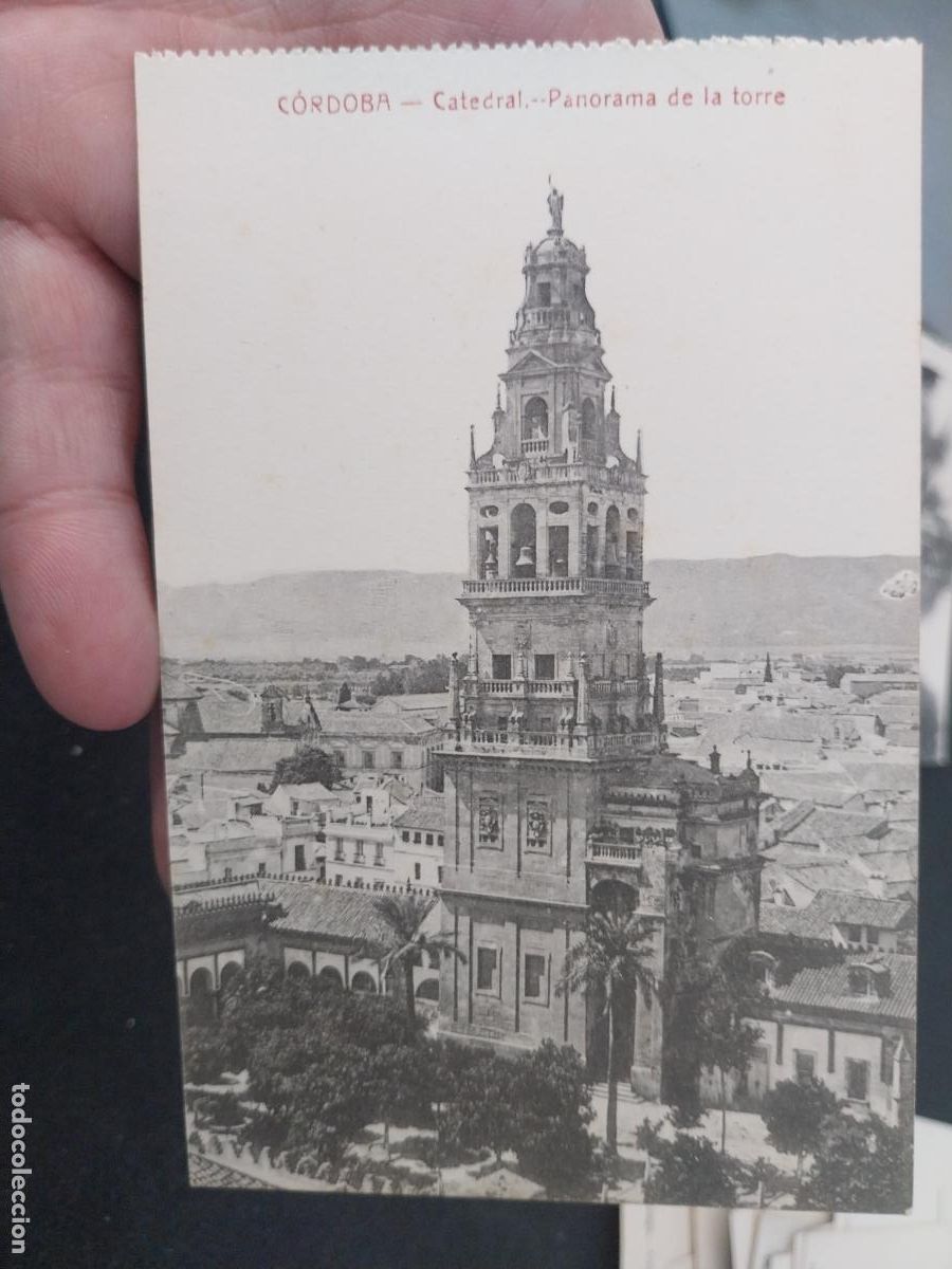 Postales: CATEDRAL PANORAMA DE LA TORRE CORDOBA ED FRAGERO SC ANTIGUA