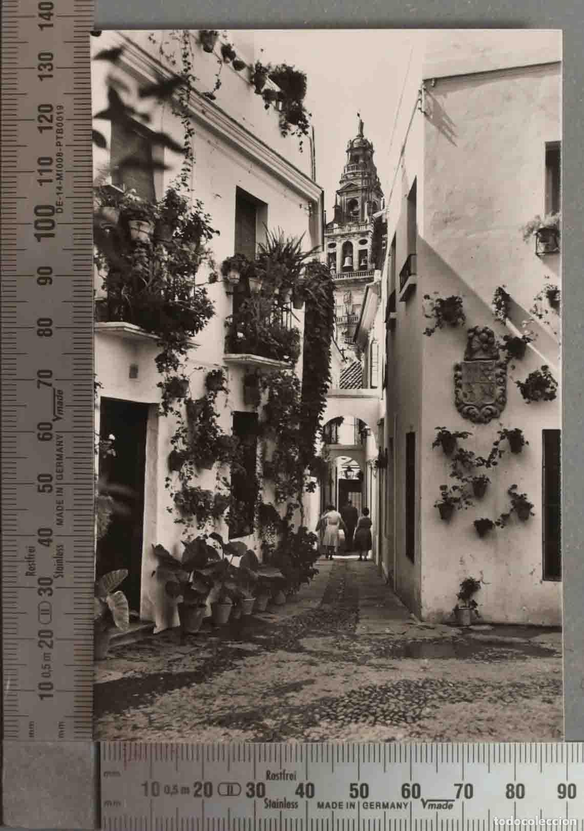 Cartoline: POSTAL. CORDOBA CALLEJA DE LAS FLORES