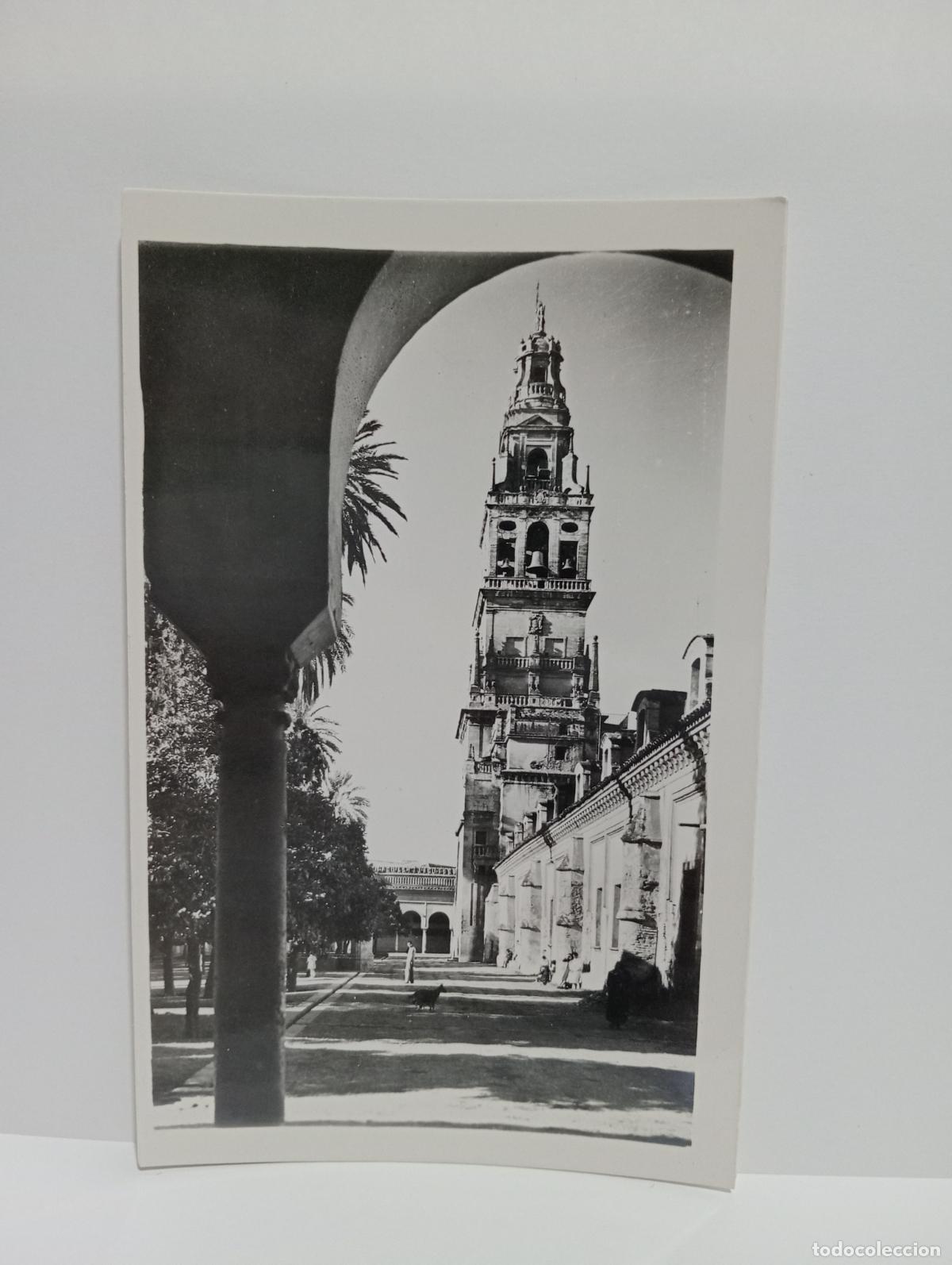 Postcards: TARJETA POSTAL. CORDOBA. N&ordm; 25. PATIO DE LOS NARANJOS Y TORRE DE LA CATEDRAL.