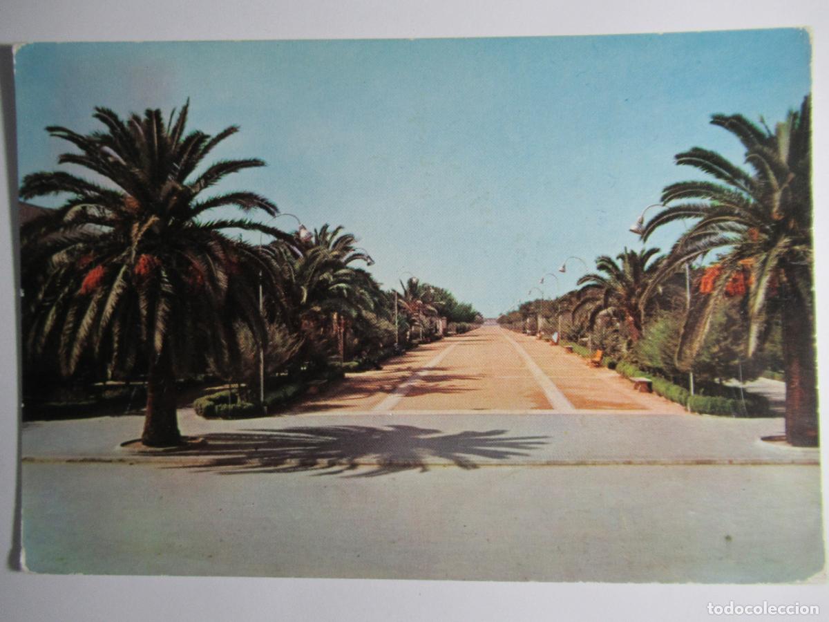Postales: Sanl&uacute;car de Barrameda (C&aacute;diz) - Calzada del Ej&eacute;rcito - Foto 1