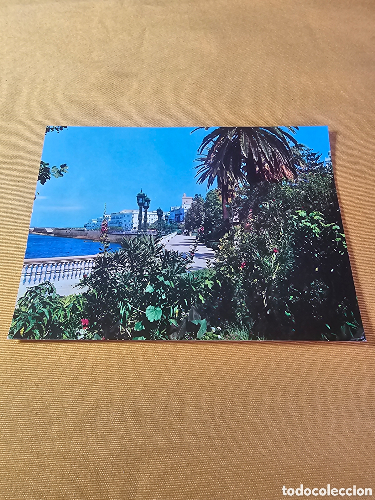 CADIZ ALAMEDA MARQUES DE COMILLAS