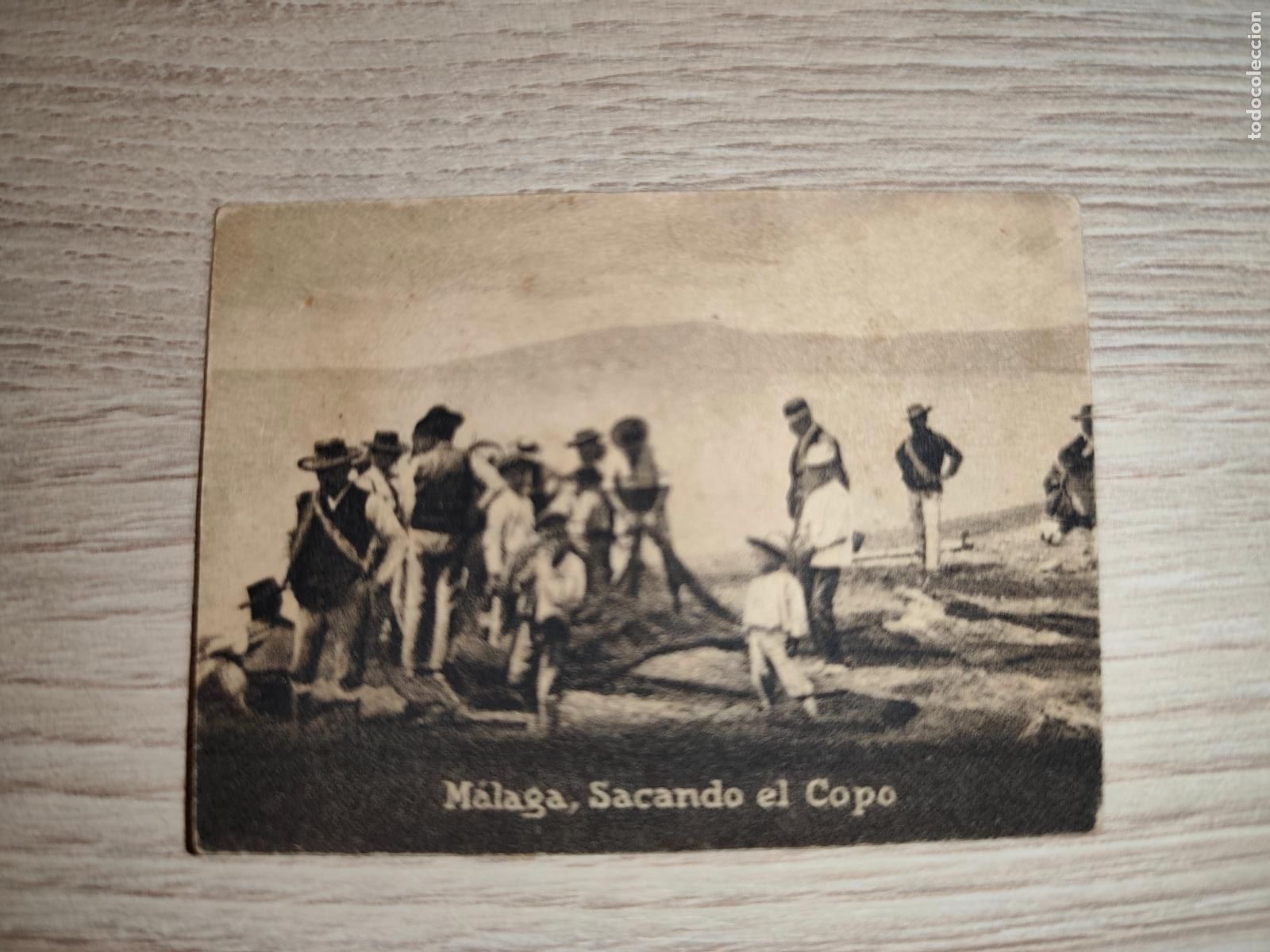 Cartoline: POSTAL ORIGINAL DECADA DE LOS A&Ntilde;OS 30. MALAGA, SACANDO EL COPO. LEER DESCRIPCION