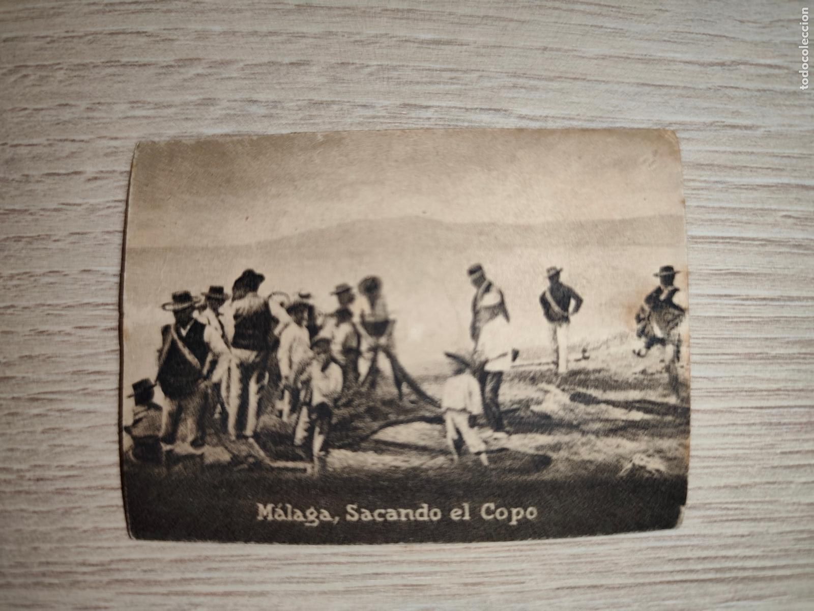 Postais: POSTAL ORIGINAL DECADA DE LOS A&Ntilde;OS 30. MALAGA, SACANDO EL COPO. LEER DESCRIPCION