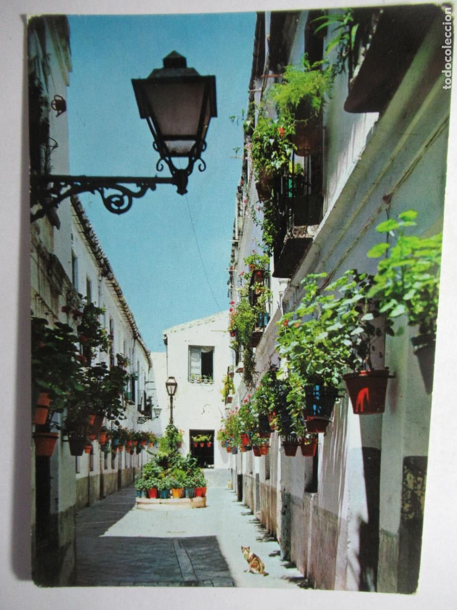 Postales: M&aacute;laga - Pasaje de Clavero - Foto 1