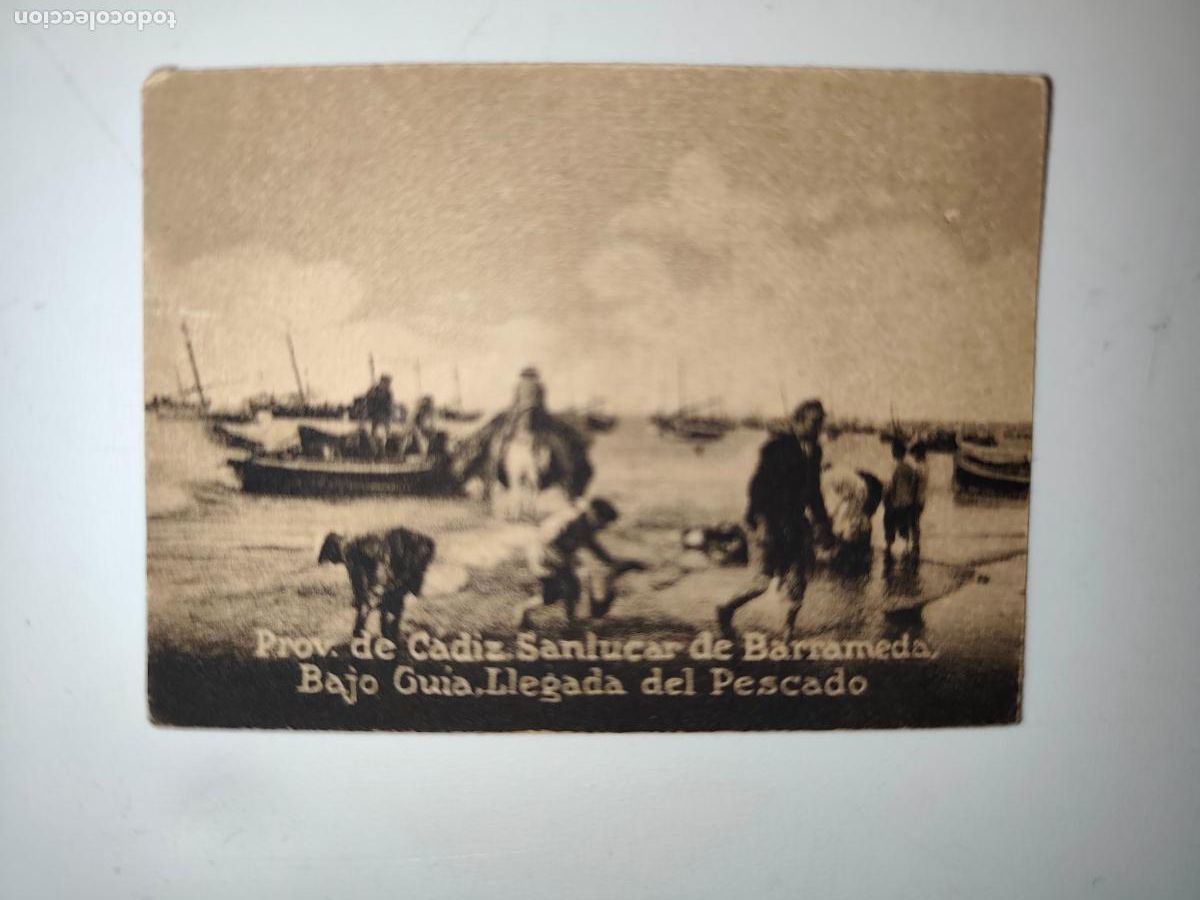 Postcards: POSTAL ORIGINAL DECADA DE LOS A&Ntilde;OS 30. CADIZ, SANLUCAR, BAJO GUIA, LLEGADA DEL PESCADO