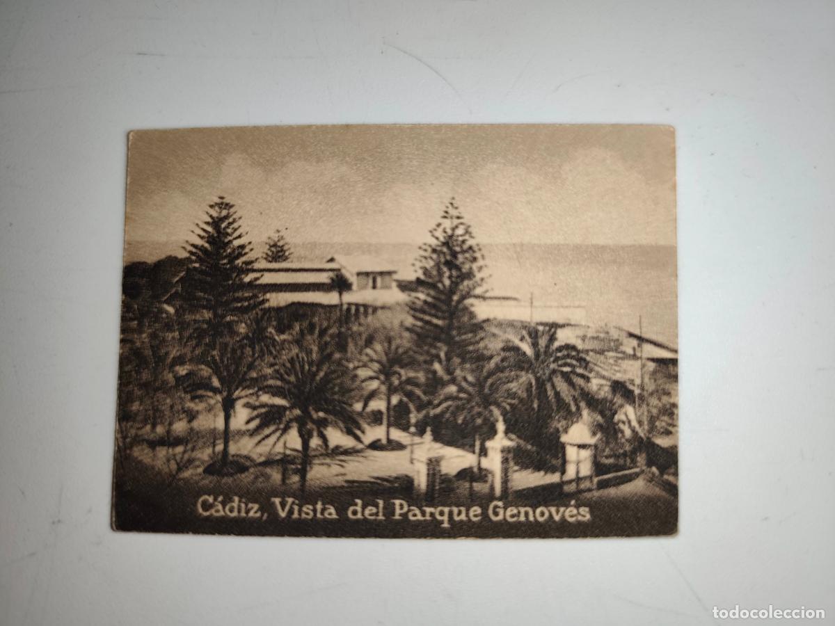Postcards: POSTAL ORIGINAL DECADA DE LOS A&Ntilde;OS 30. CADIZ, VISTA DEL PARQUE GENOVES. LEER DESCRIPCION.