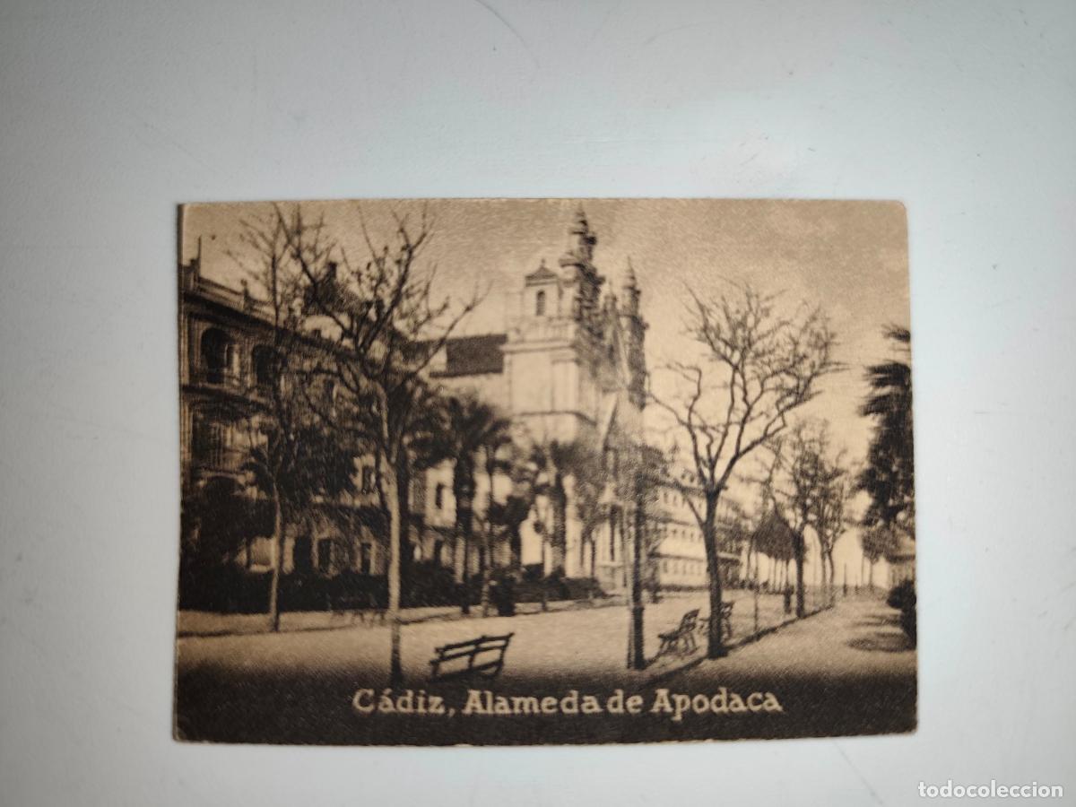 Postcards: POSTAL ORIGINAL DECADA DE LOS A&Ntilde;OS 30. CADIZ, ALAMEDA DE APODACA. LEER DESCRIPCION.