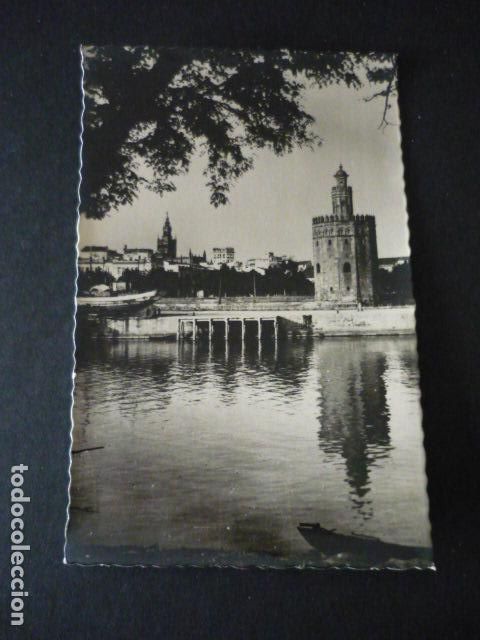 Postales: SEVILLA TORRE DEL ORO - Foto 1