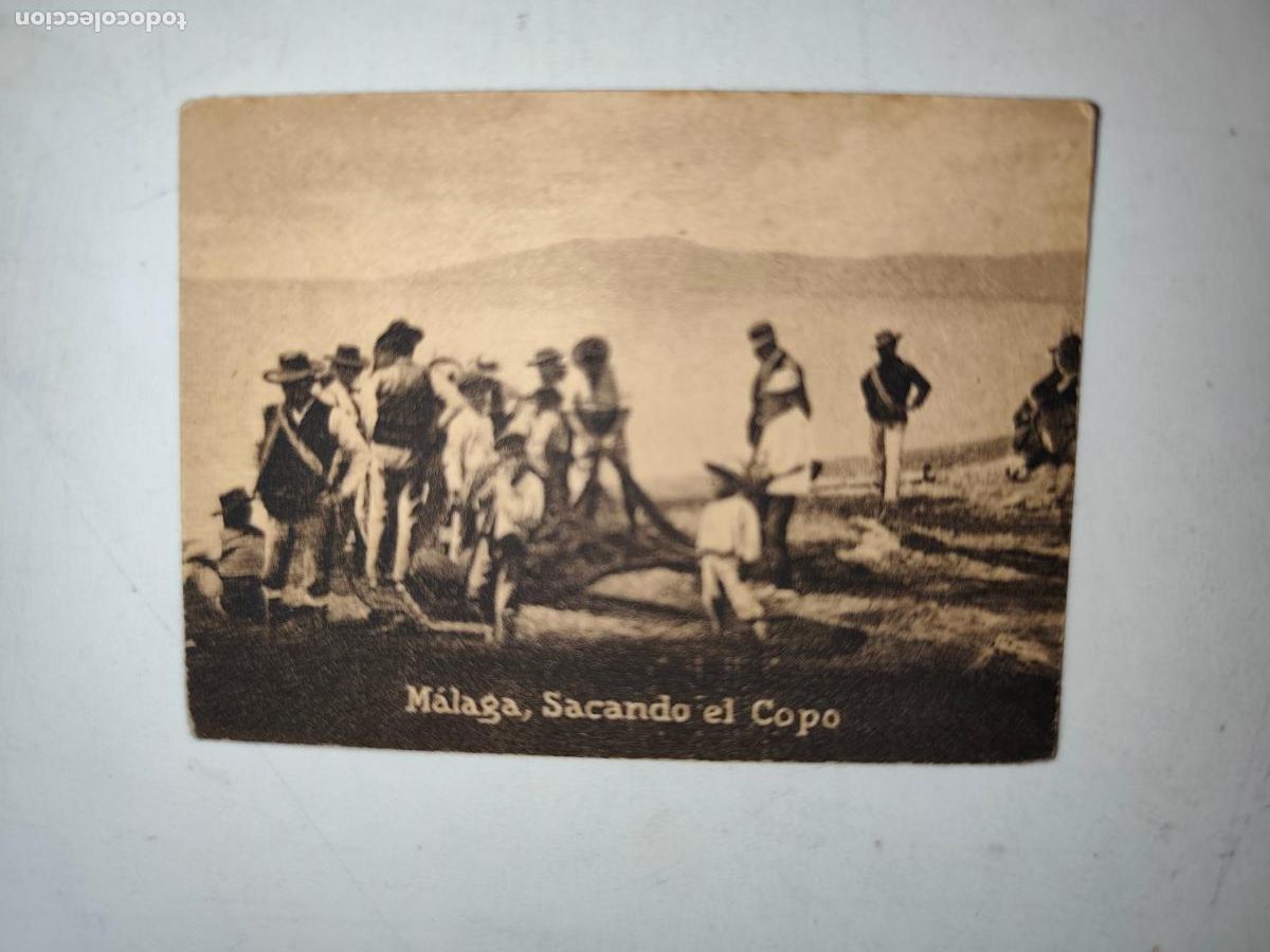 Postales: POSTAL ORIGINAL DECADA DE LOS A&Ntilde;OS 30. MALAGA, SACANDO EL COPO. LEER