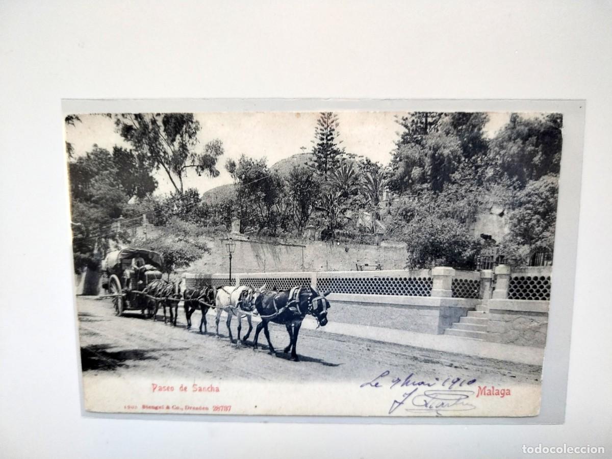 Postales: M&aacute;laga. Paseo de Sancha. 1905. - Foto 1