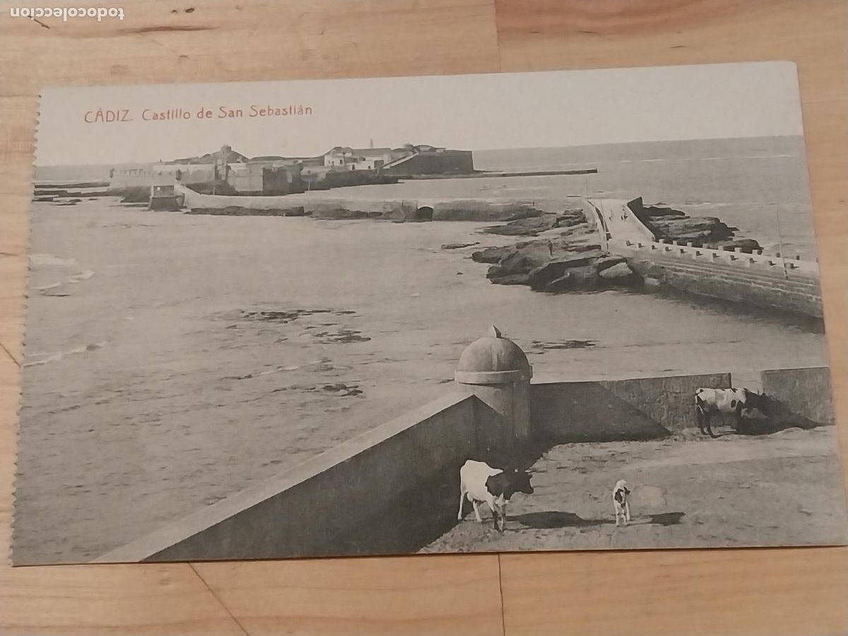 Cartoline: CASTILLO DE SAN SEBASTIAN CADIZ 1926 FOTOTIPIA THOMAS SC VACA TERNERO