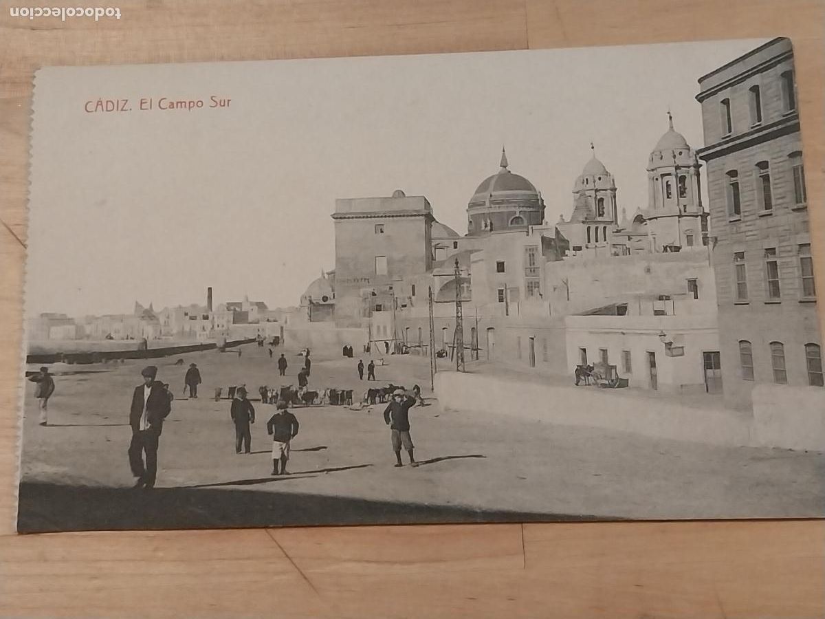 Cartoline: CAMPO SUR CADIZ 1926 FOTOTIPIA THOMAS SC CABRAS PLAYA NI&Ntilde;OS ANIMADA