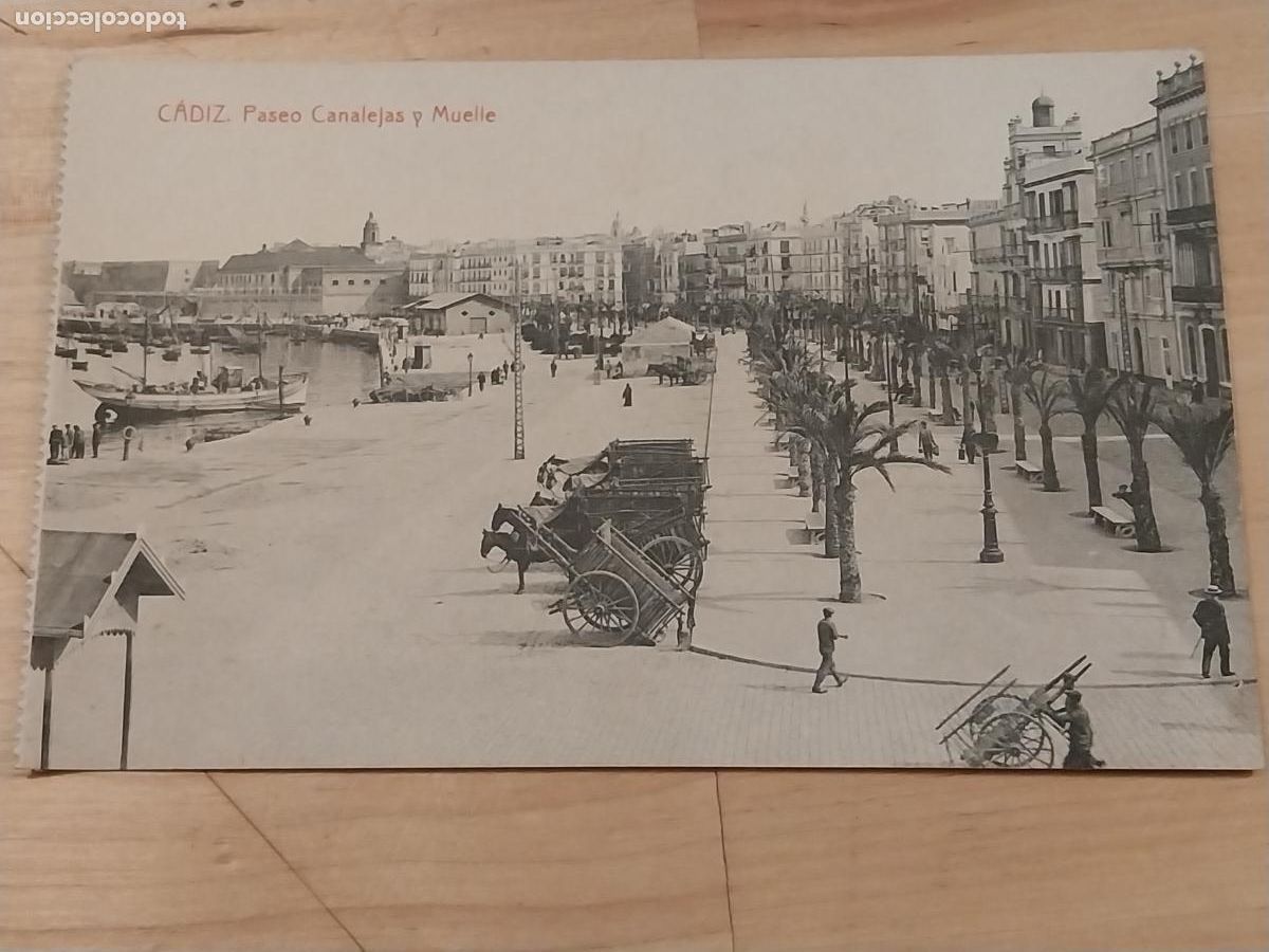 Cartoline: PASEO CANALEJAS MUELLE CADIZ 3041 FOTOTIPIA THOMAS SC CARRERAS MULOS ANIMADO