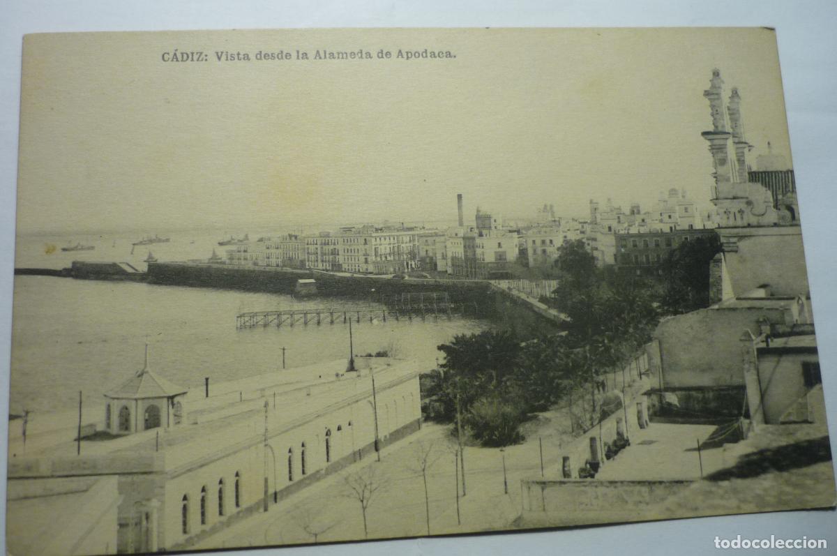 Cartoline: POSTAL CADIZ DESDE ALAMEDA DE APODACA CM