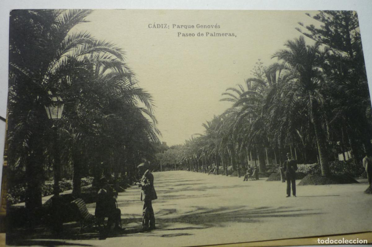 Cartoline: POSTAL CADIZ PARQUE GENOVES-P&ordm; PALMERAS CM