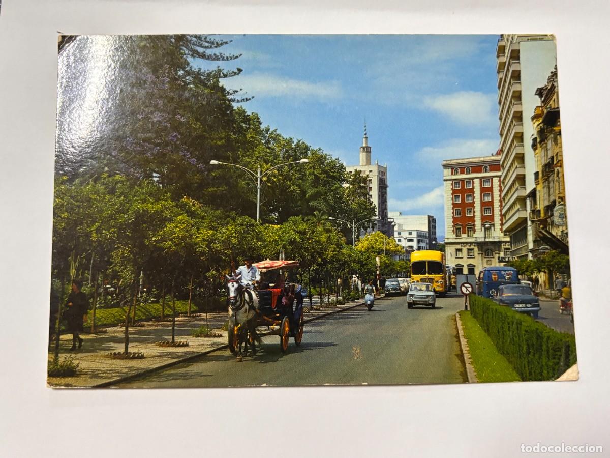 Postcards: TARJETA POSTAL. MALAGA. COSTA DEL SOL. SERIE 103. N&ordm; 2. JARDINES DEL PARQUE. ZERKOWITZ.