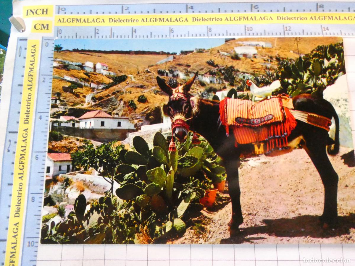 Cartes Postales: POSTAL DE GRANADA. A&Ntilde;O 1964. SACROMONTE EL BURRO CHUMBITO 1235 BEASCOA. 1334