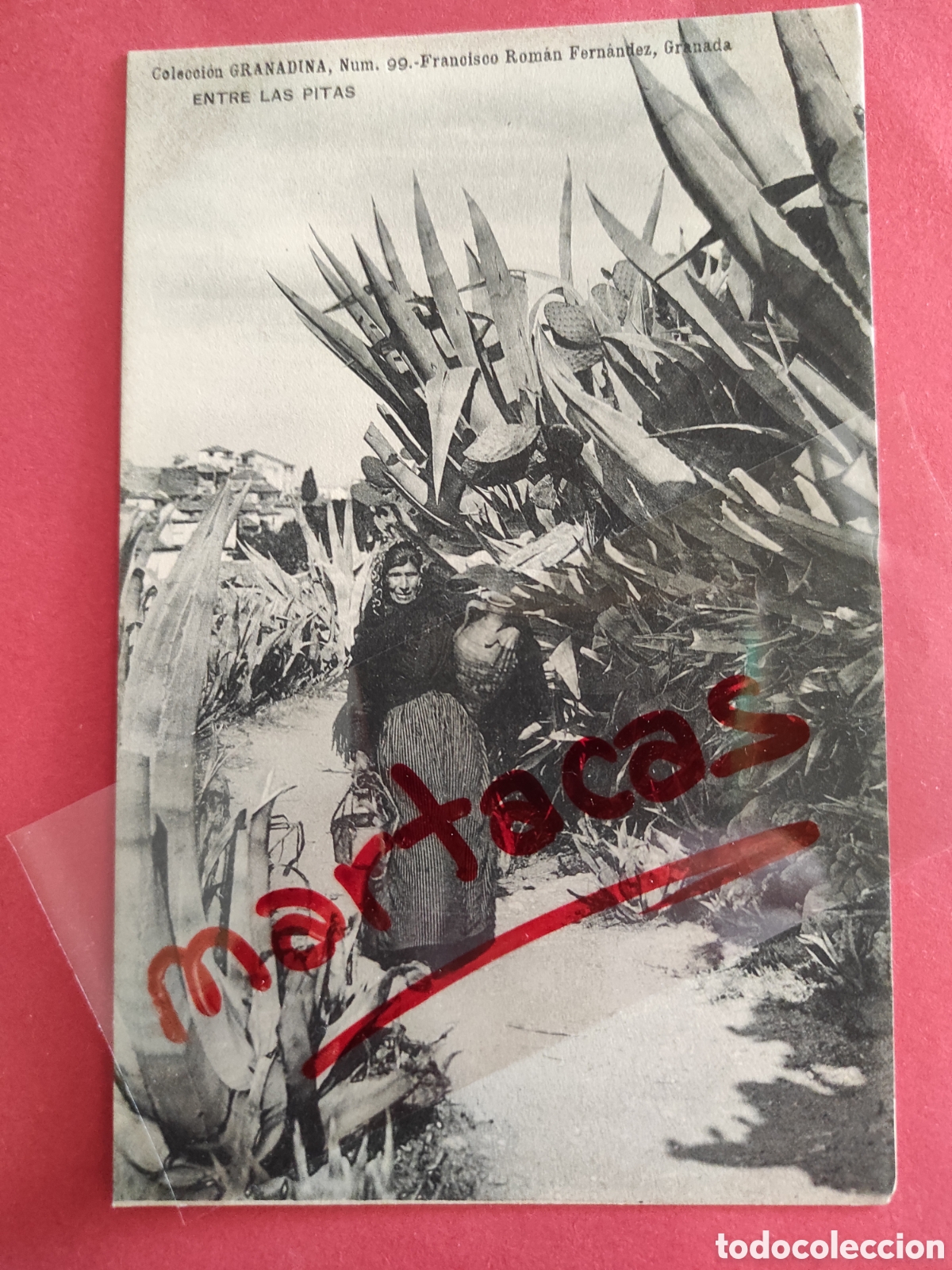 Postkarten: TARJETA POSTAL.- ENTRE LAS PITAS.- COLECCION GRANADINA.- GRANADA.-