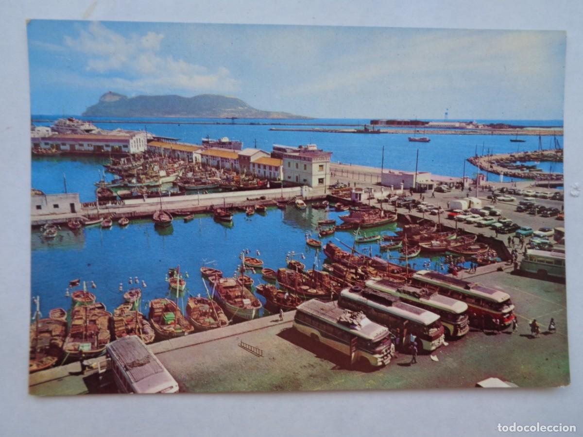 Postales: POSTAL DE ALGECIRAS ( CADIZ ): VISTA PARCIAL DEL PUERTO , AL FONDO EL PE&Ntilde;ON DE GIBRALTAR. A&Ntilde;OS 60