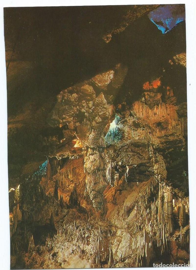 Postkarten: SALA DEL CATACLISMO, VISTA PARCIAL.- CUEVA DE NERJA / MALAGA