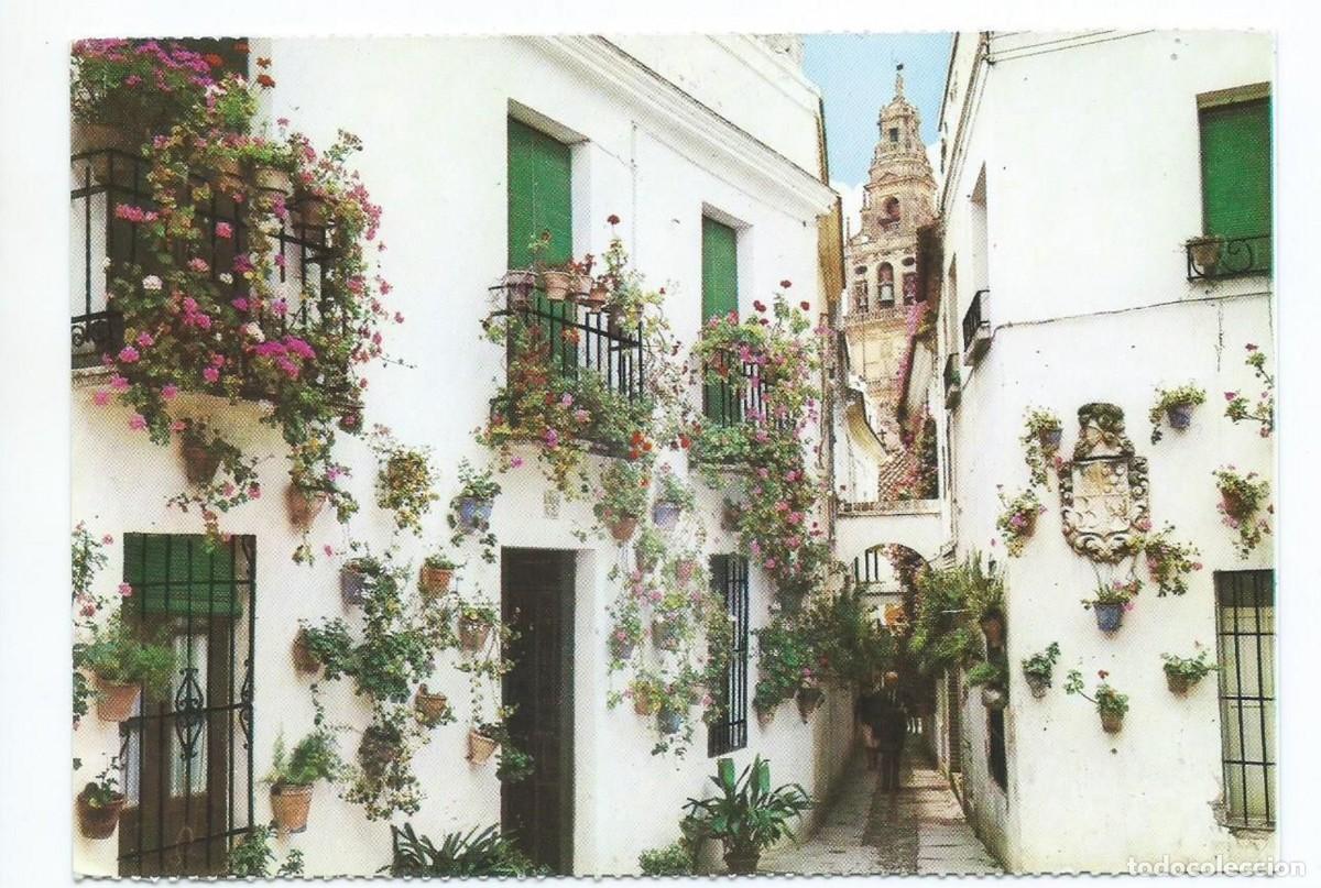 Postkarten: CALLEJA DE LAS FLORES, AL FONDO, TORRE DE LA MEZQUITA.- CORDOBA