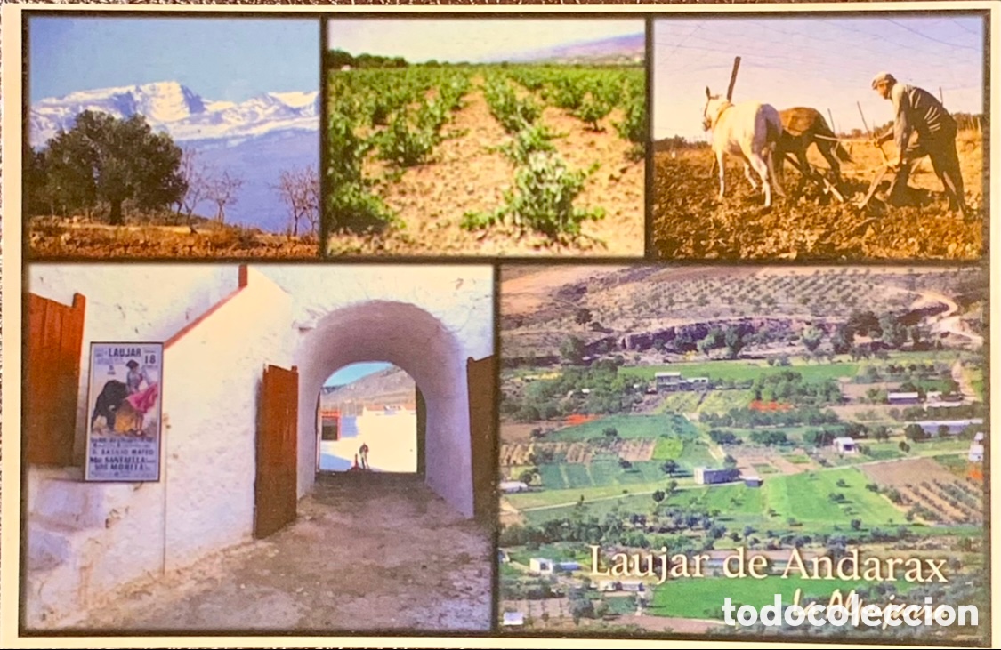 Postkarten: Postal. Laujar de Andarax. Almer&iacute;a. A&ntilde;os 90.