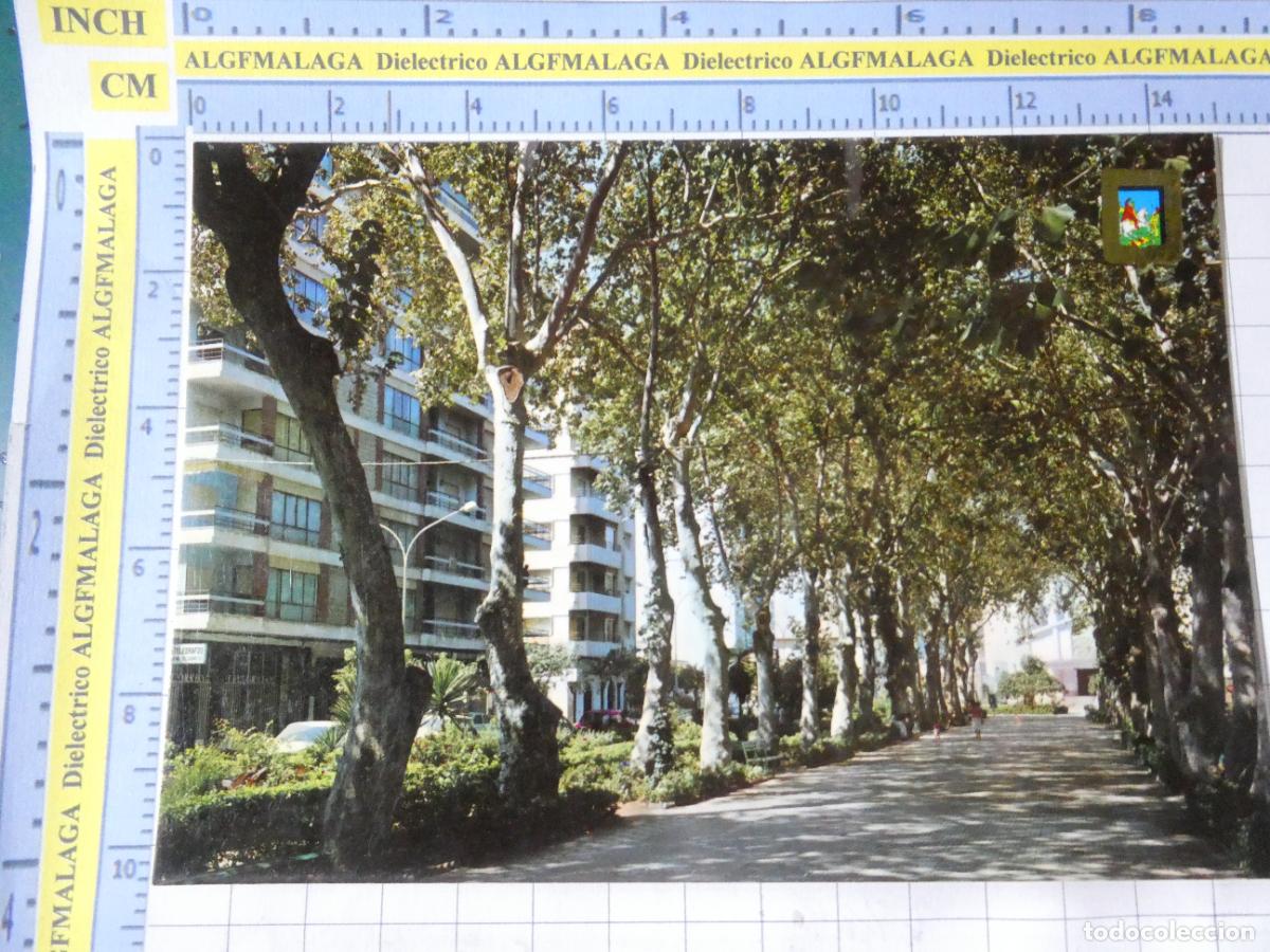 Cartes Postales: POSTAL DE M&Aacute;LAGA. A&Ntilde;O 1980. TORRE DEL MAR PASEO DE LARIOS 32 ESCUDO ORO. 1600