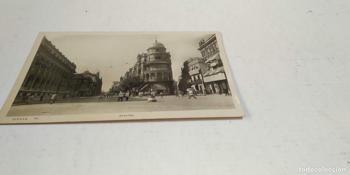 Postales: SEVILLA - POSTAL SEVILLA - AVENIDA - Foto 1