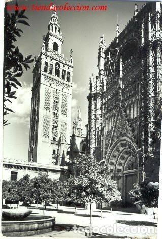 Postcards: MSEVILLA. Patio de los Naranjos y la Giralda. Ediciones Sicilia.