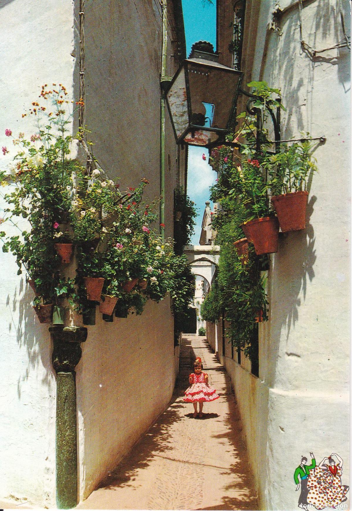 Cartoline: ESPA&Ntilde;A, CALLE T&Iacute;PICA ANDALUZA &ndash; EDITA BEASCOA N&ordm;808 &ndash; S/C